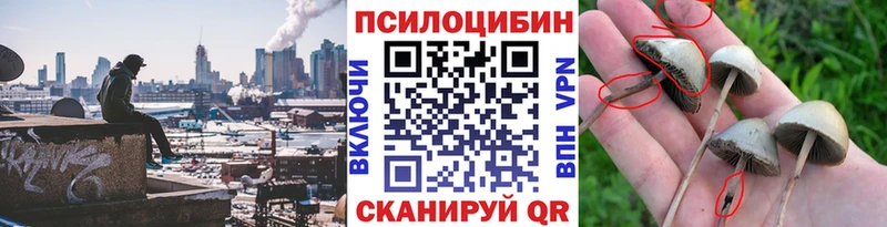 Псилоцибиновые грибы ЛСД Нерюнгри