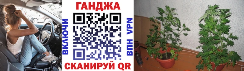 Бошки марихуана марихуана  дарк нет официальный сайт  Нерюнгри  как найти закладки  omg онион 